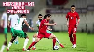 普京缺席世界杯引发全球关注